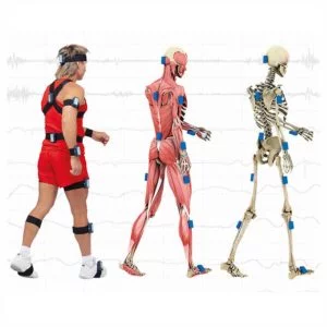 Изображение Биомеханика + БИОКИНЕКТ