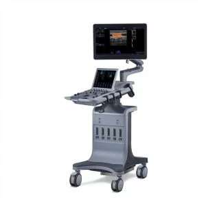 Изображение Ультразвуковая диагностическая система Acclarix LX9 (экспертного класса)